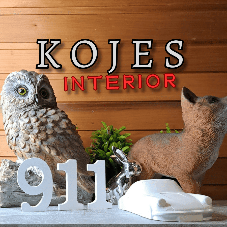 KojesInterior Logo Porsche 911 Bundle